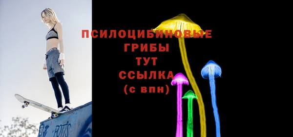 твердый Гусиноозёрск