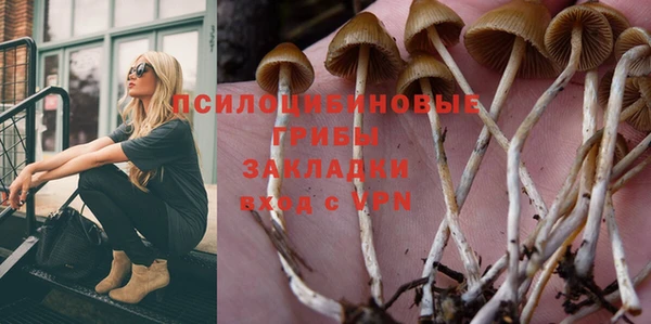 меф VHQ Дмитриев