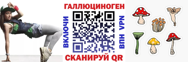 Купить где Кадников Галлюциногенные грибы Psilocybe